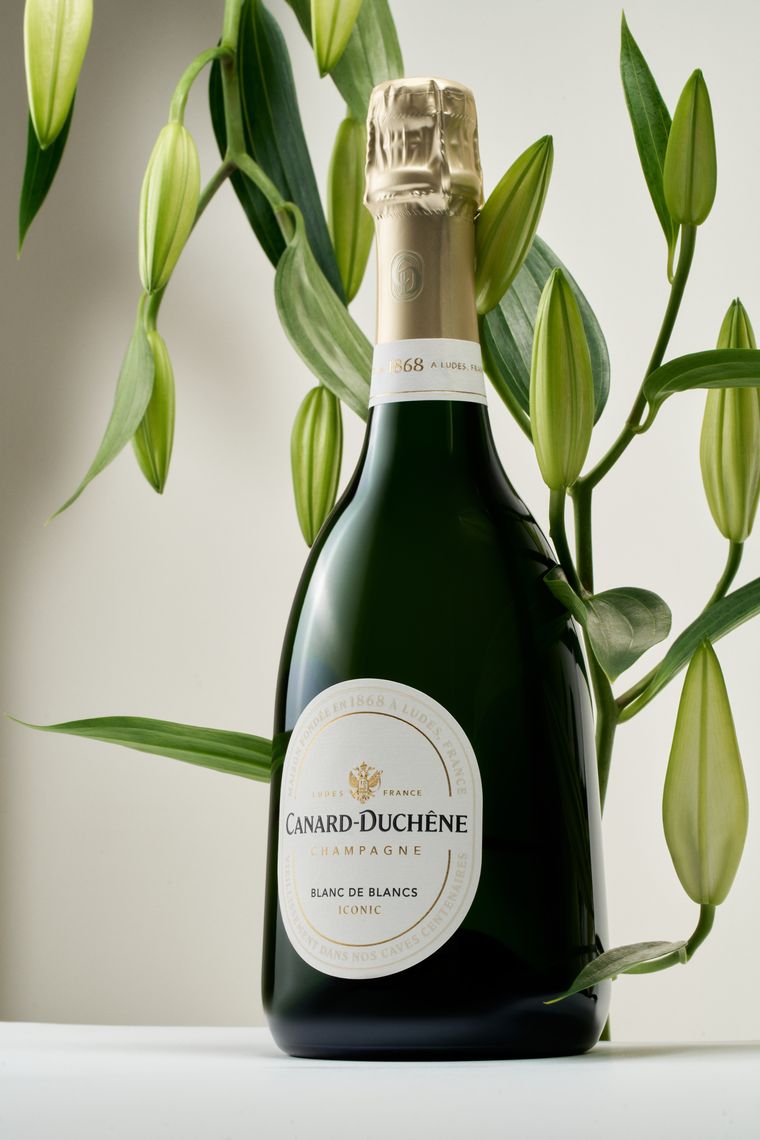 lifestyle pic iconic bdb