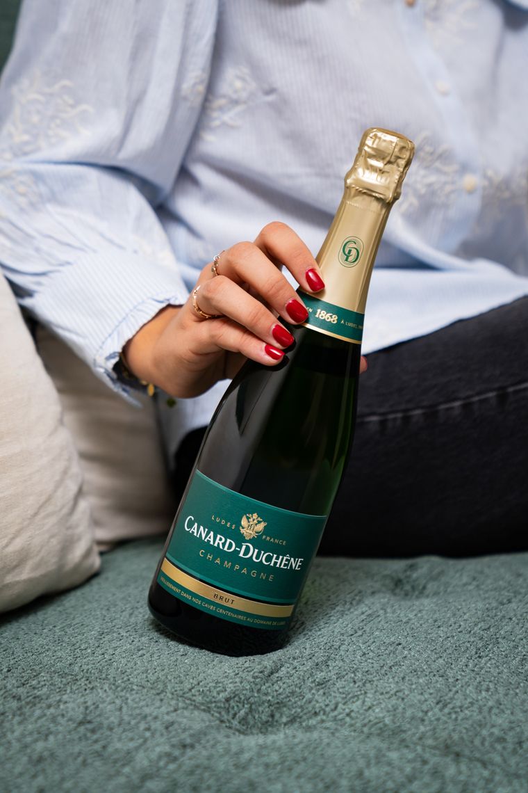 cd golden tulip hd 7