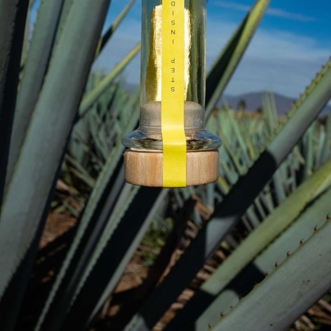 casarica reposado bottles closeup 0 74 1533 1533 max